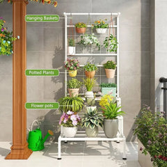 Modern Grid Panel Plant Stand with Hanging Display-Wooden Crest