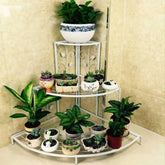 Modern Corner Plant Stand with Three-Tier Display-Wooden Crest