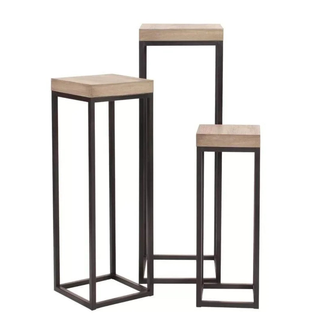 Modern Nesting Plant Stand Set with Geometric Frames