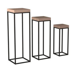 Modern Nesting Plant Stand Set with Geometric Frames