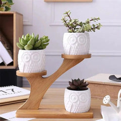 Modern Three-Tier Bamboo Plant Stand with Integrated Planters-Wooden Crest
