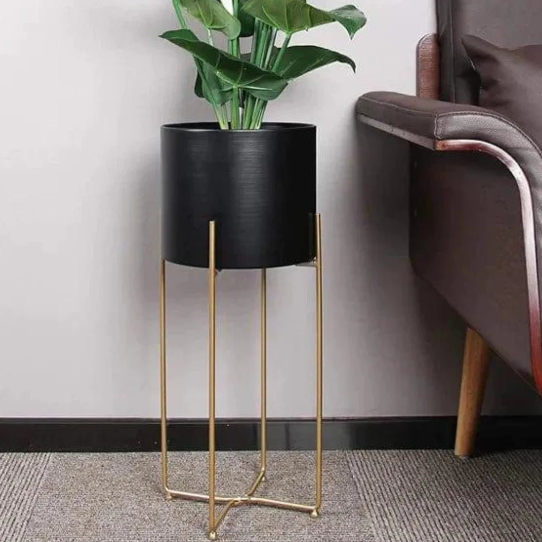 Modern Six-Piece Plant Stand Set with Gold Frame Design-Wooden Crest
