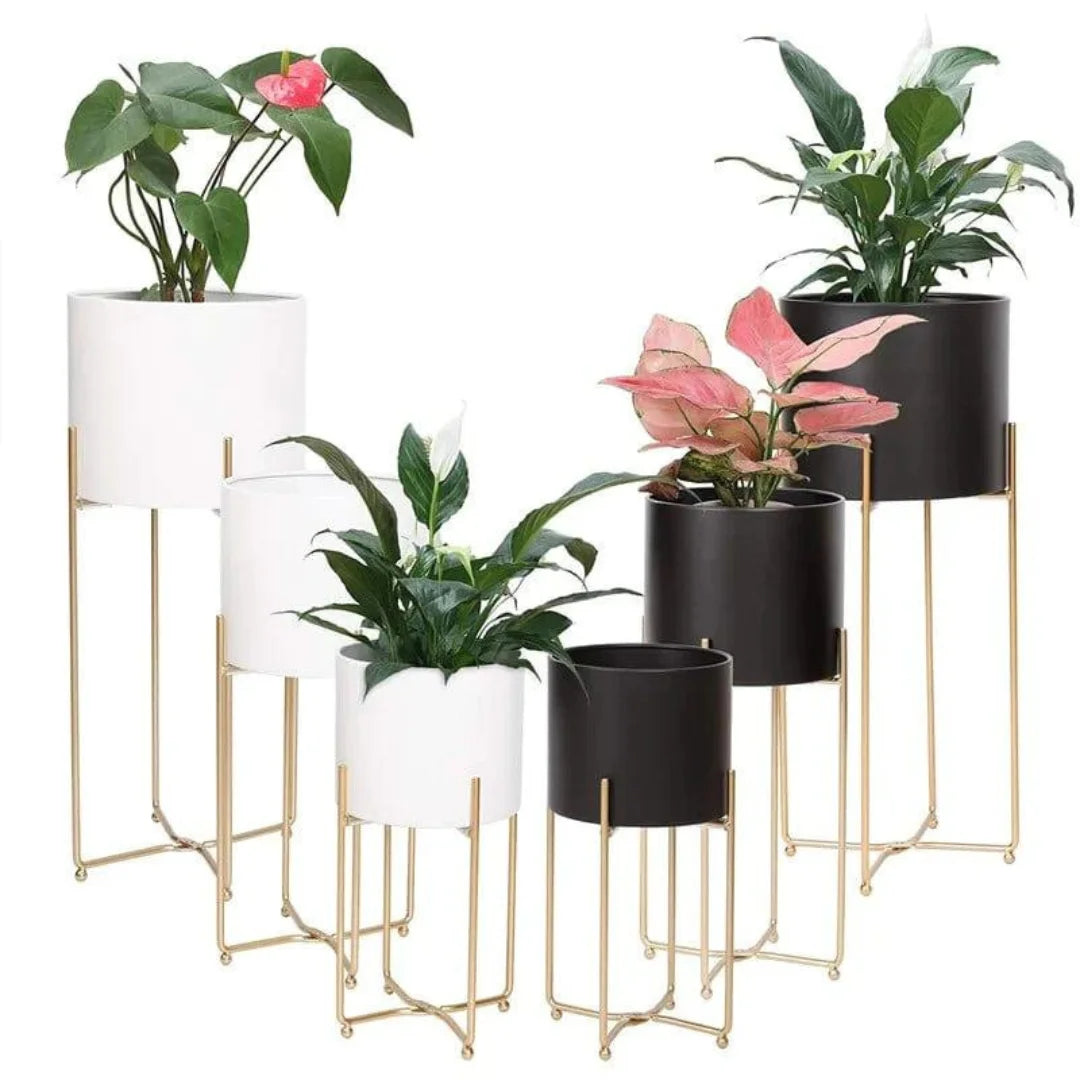 Modern Six-Piece Plant Stand Set with Gold Frame Design-Wooden Crest