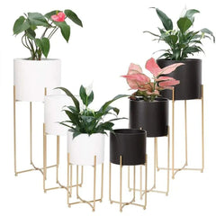 Modern Six-Piece Plant Stand Set with Gold Frame Design-Wooden Crest