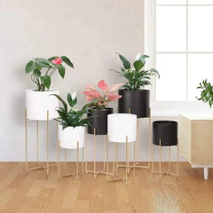 Modern Six-Piece Plant Stand Set with Gold Frame Design-Wooden Crest