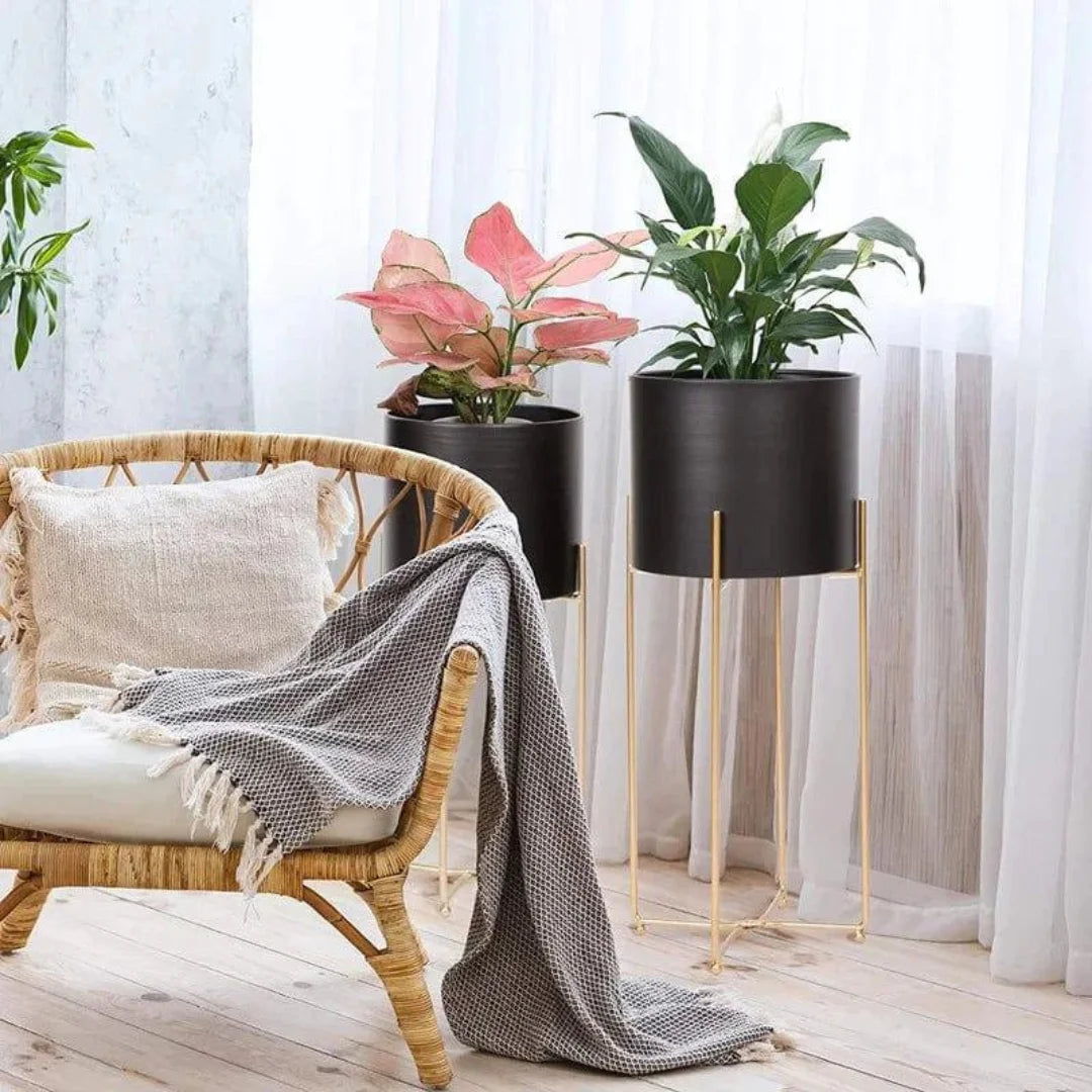Modern Six-Piece Plant Stand Set with Gold Frame Design-Wooden Crest