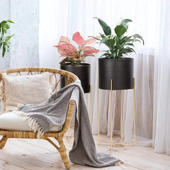 Modern Six-Piece Plant Stand Set with Gold Frame Design-Wooden Crest