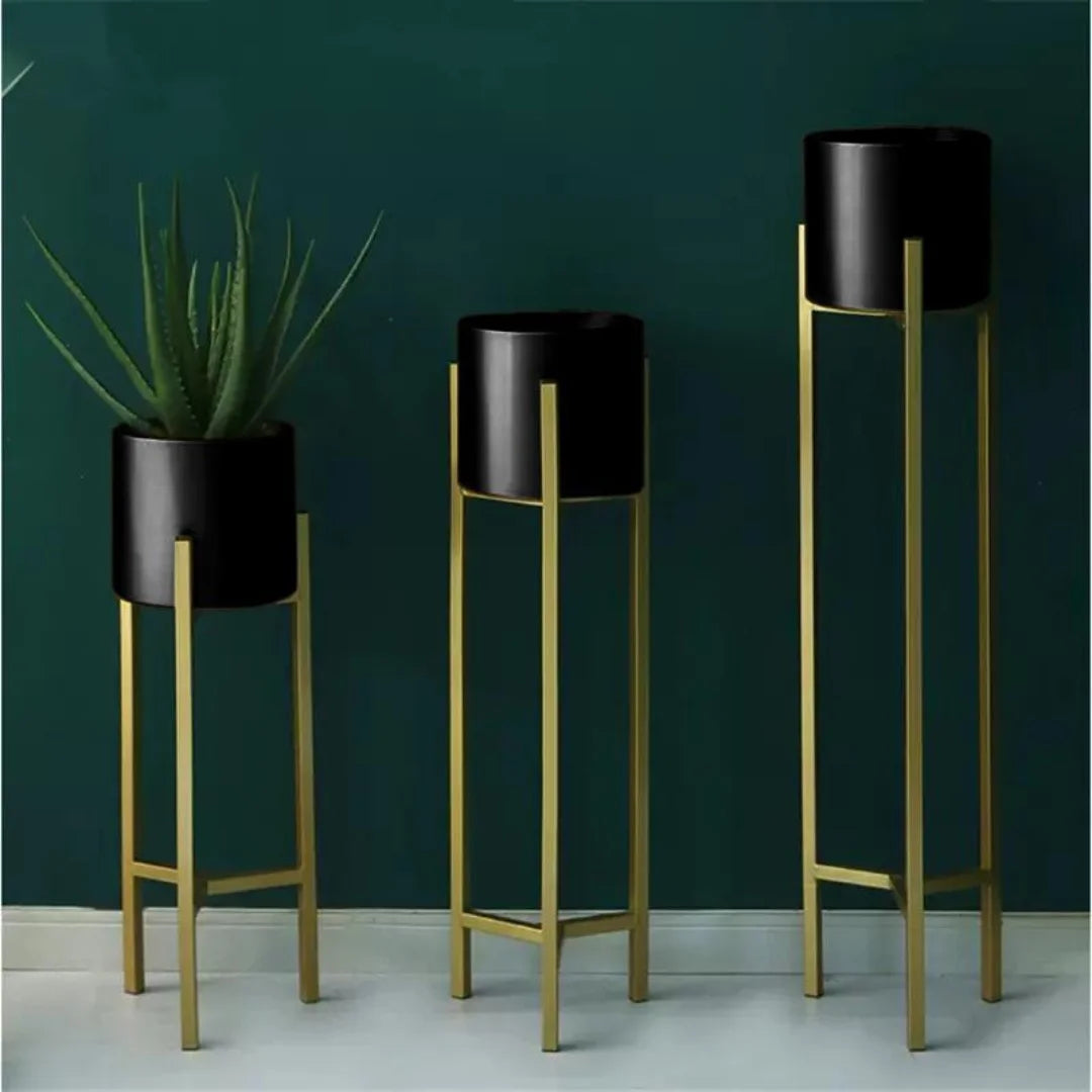 Modern Metal Plant Stand Set with Graduated Heights