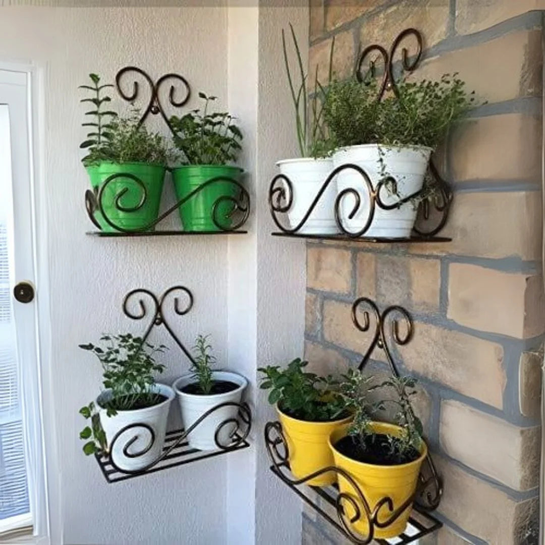 Decorative Metal Wall Plant Holders with Scrollwork Design