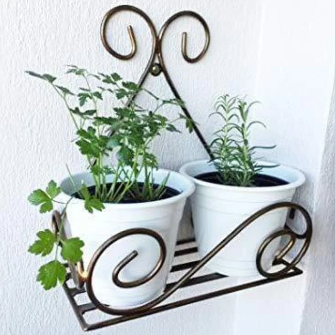 Decorative Metal Wall Plant Holders with Scrollwork Design