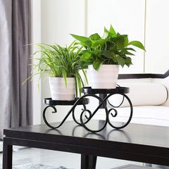 Modern Scrollwork Plant Stand Set with Double Display