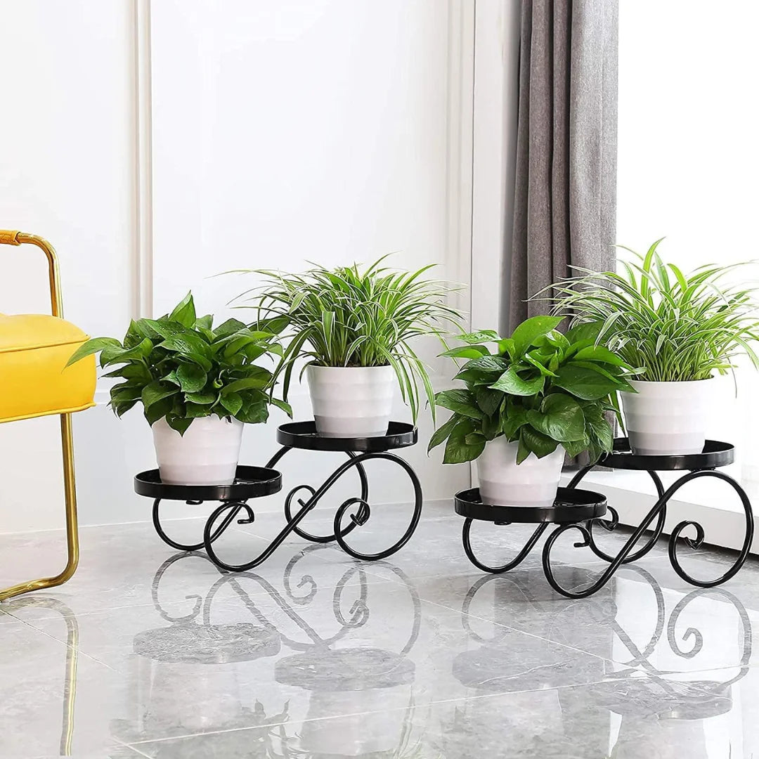 Modern Scrollwork Plant Stand Set with Double Display